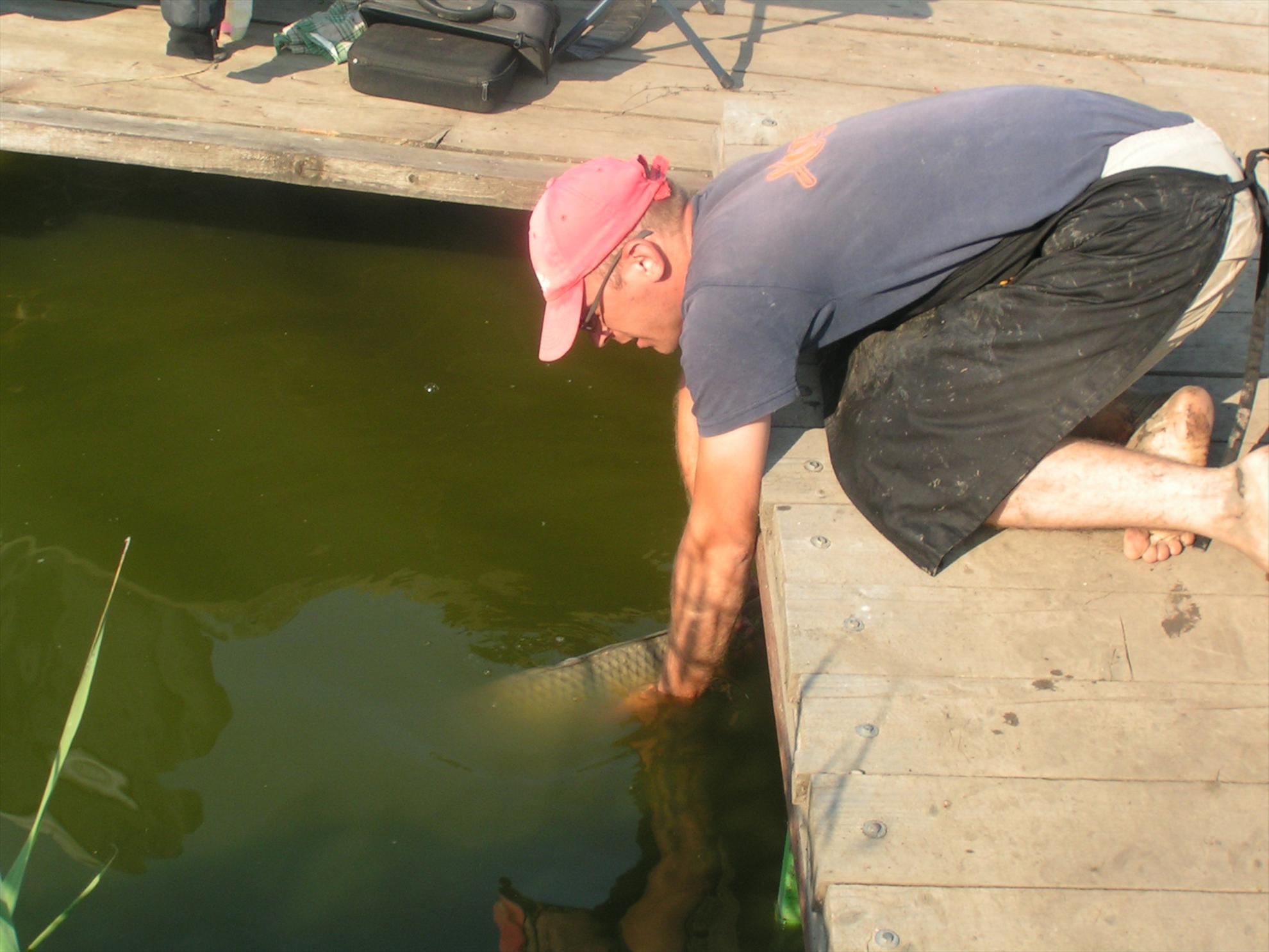 Lates 9-10.07.2012 - pict0875.JPG